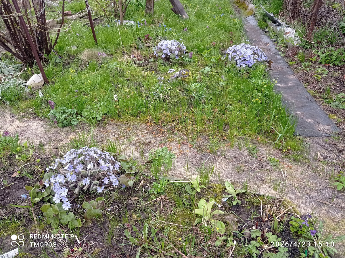 в дальнем углу