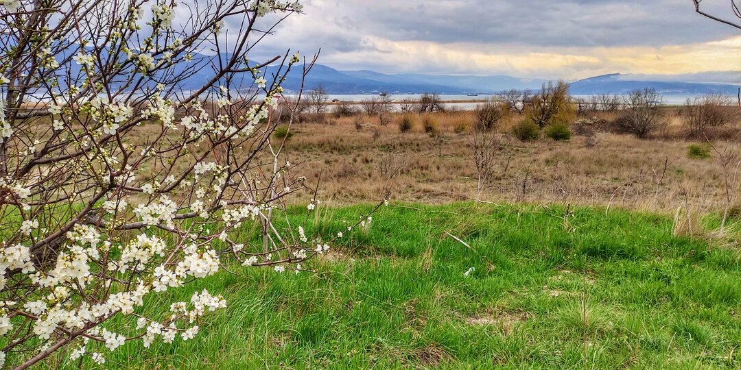 Будет ли тепло в России: погода на майские удивит — синоптики предупредили