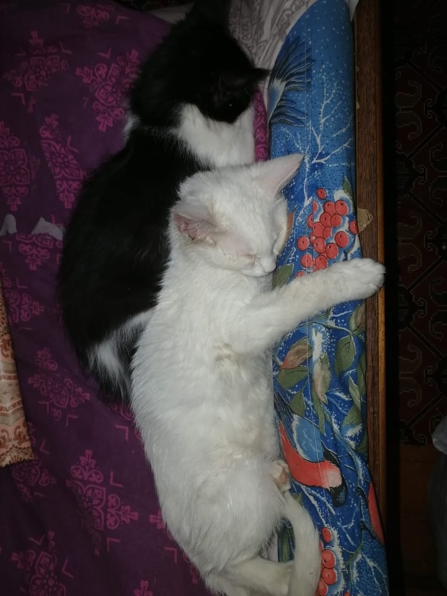 -2