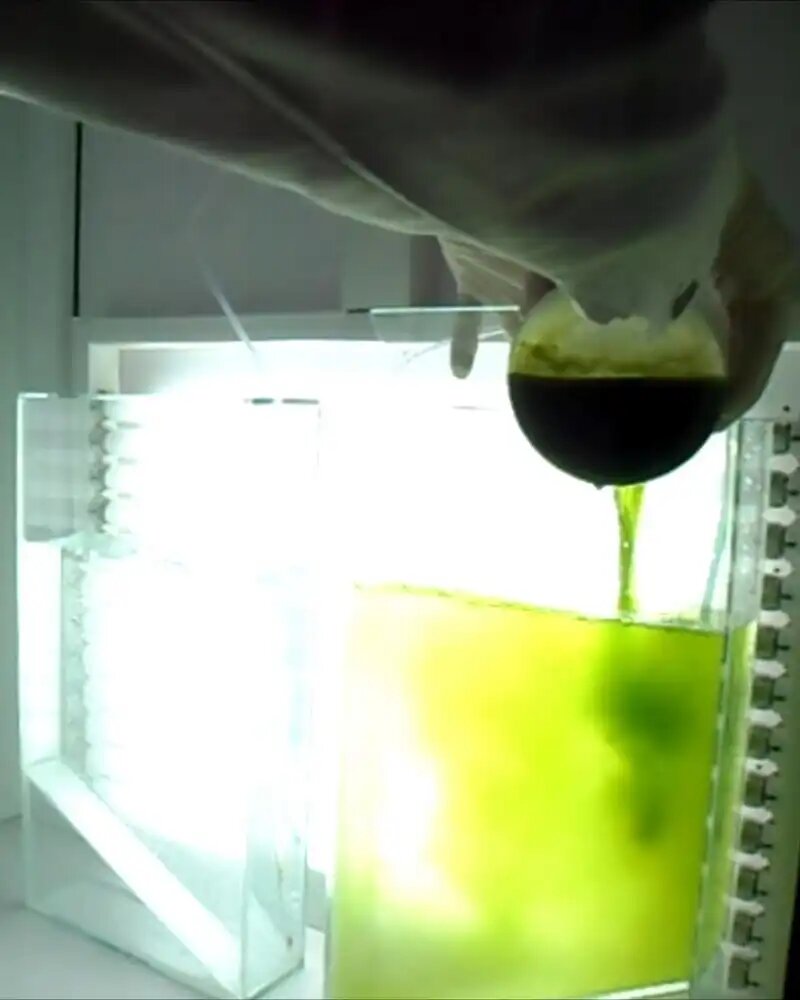 Уникальную технологию производства удобрений из микроводорослей разработали в Курском ФАНЦ (фото: Курский ФАНЦ)