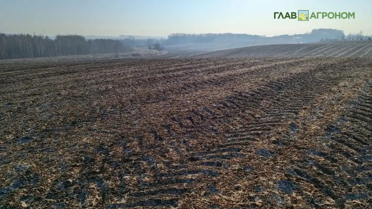 Фото:© Николай Петроченко / Glavagronom.ru
Сельское хозяйство России в 2025 году потеряло более 100 млрд рублей прибыли