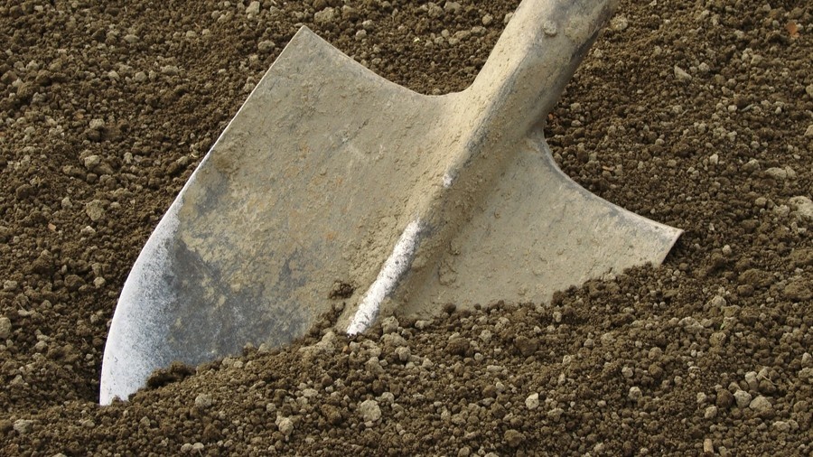 Вот с чего всё начиналось. Лопата в такую землю идет с трудом.