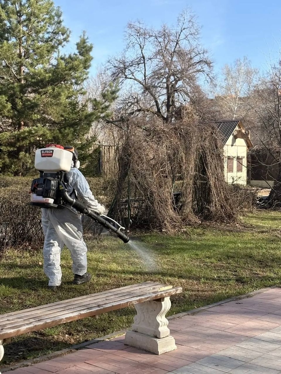 
Воздуходувка-распылитель ELITECH BP 6338RMD - универсальный инструмент для парков, дач и больших участков.
