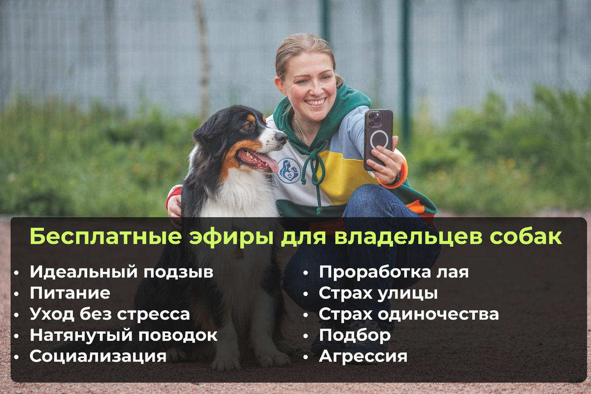Листать каруслеь, "что будет в подписке" →...