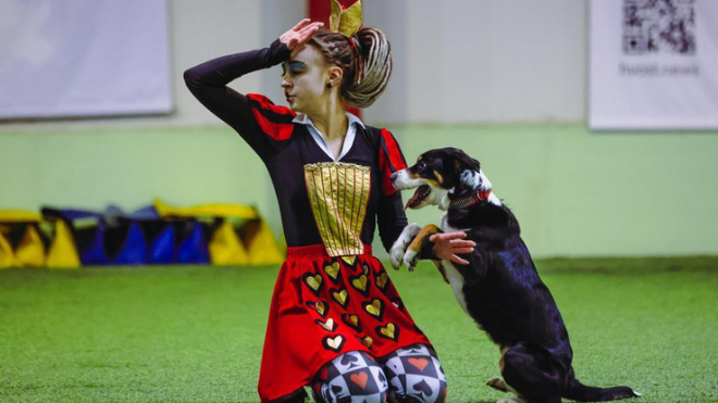 Фото: https://lenobl.ru/ru/dlya-smi/news/93540/