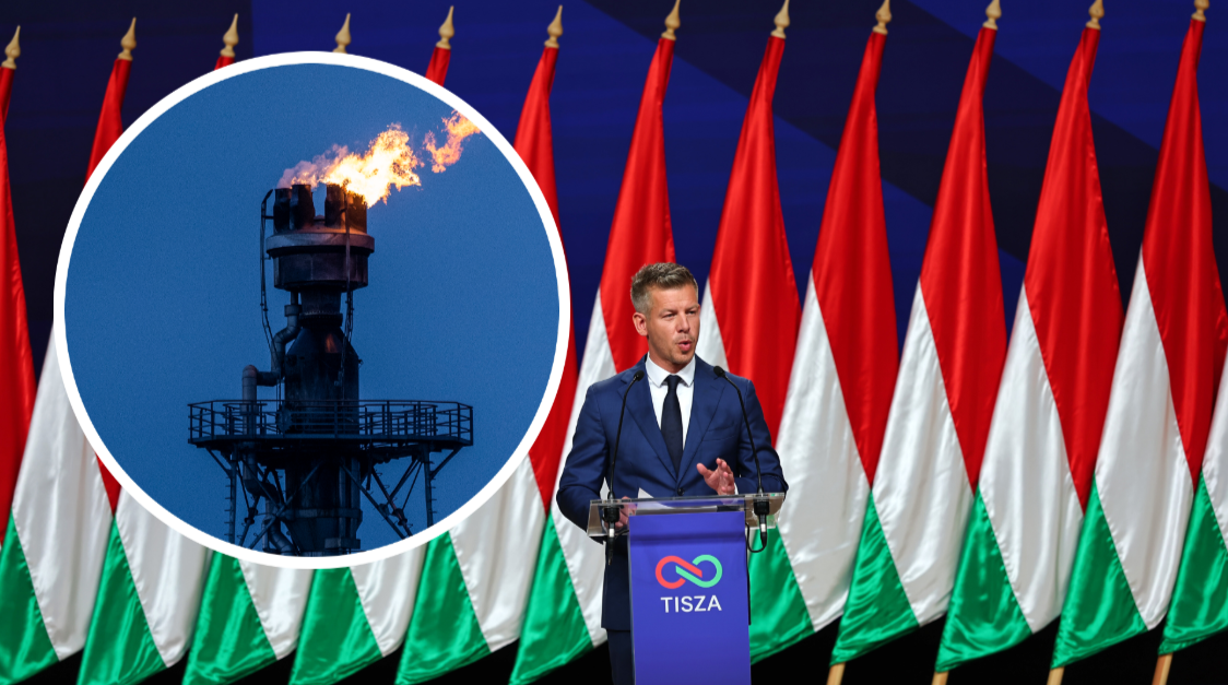 Фото: Christophe Gateau/David Balogh/globallookpress.com