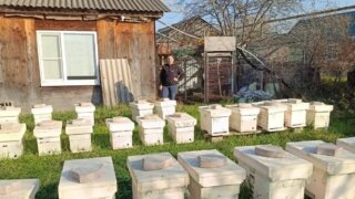 Губернатор Кубани: малый и средний бизнес формирует более четверти экономики региона