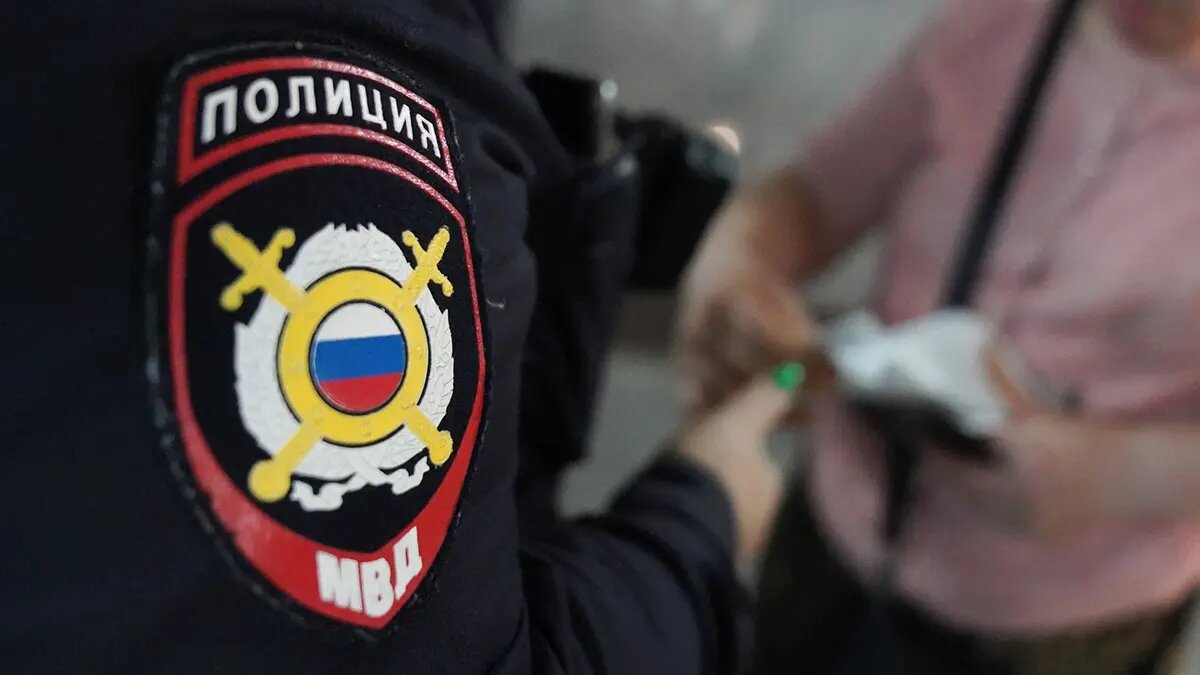    Источник: vm.ru/ Федор Никулина