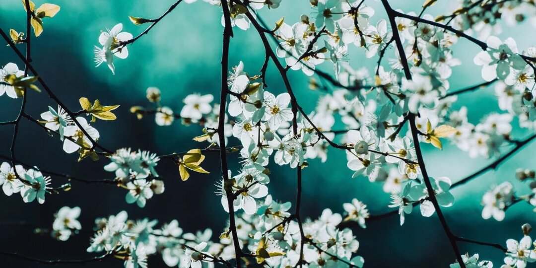 Гроза, град и усиление ветра: прогноз погоды для Костанайской области