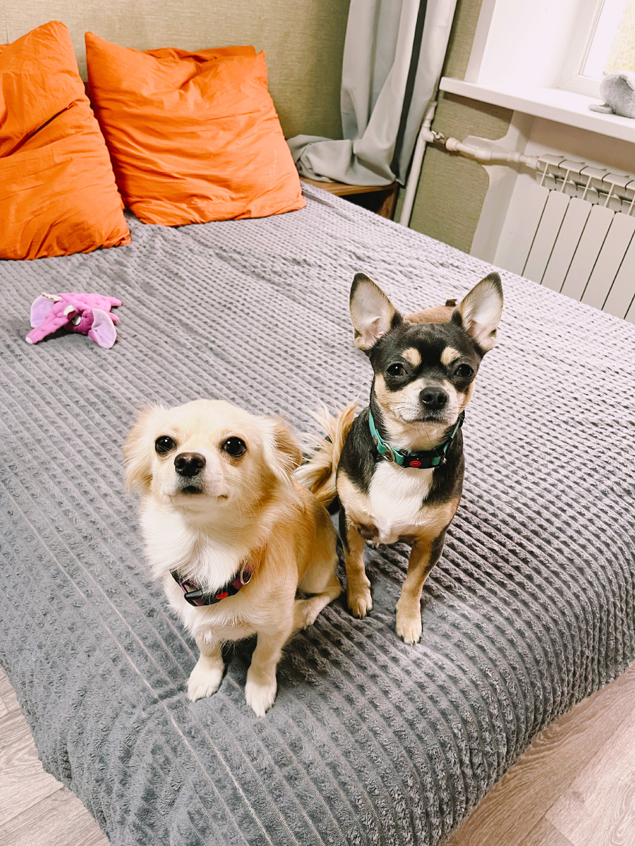 Василиса и Михаил 