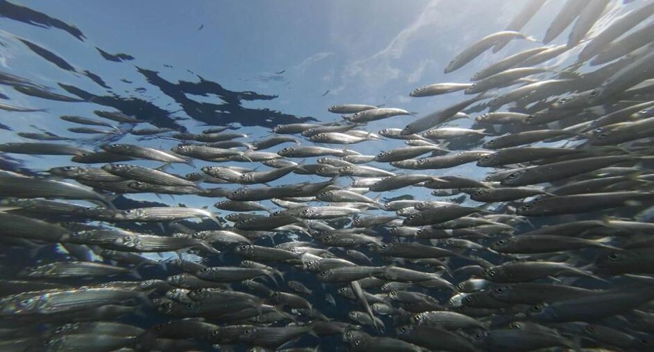    Михаил Коханчиков / Фотобанк Лори