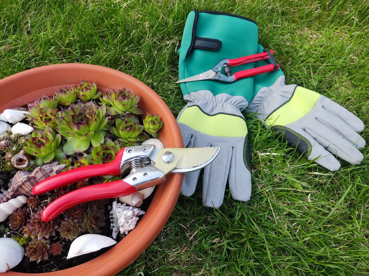 Любая работа спорится, когда есть хороший инвентарь, и мой выбор - инструменты от японского бренда Chikamasa