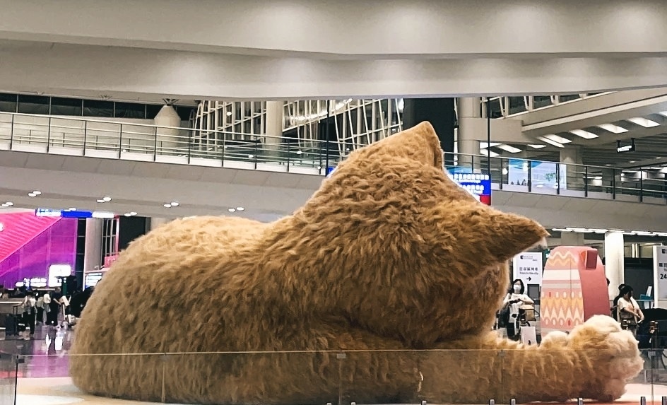 -2