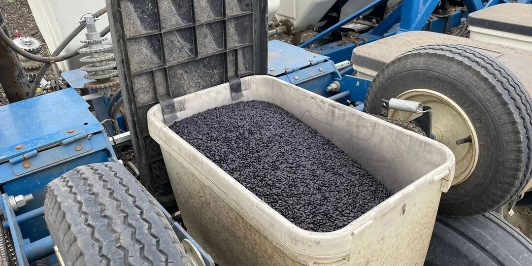 На Ставрополье стартовал сев подсолнечника