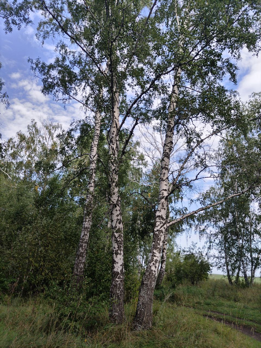 Фото автора.