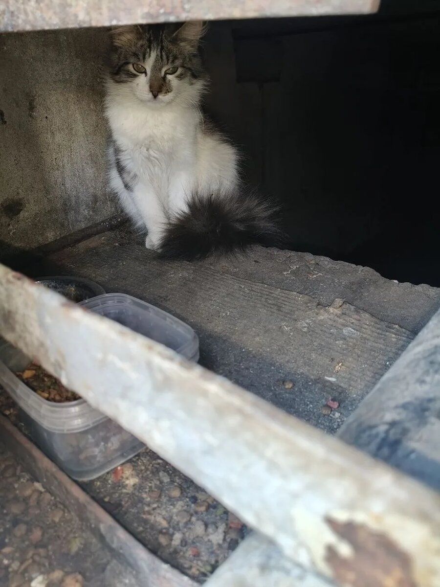 Вот она, красавица