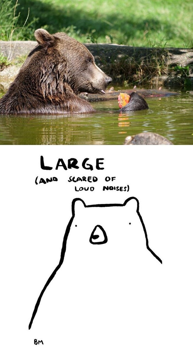    Эрих из заповедника в Австрии