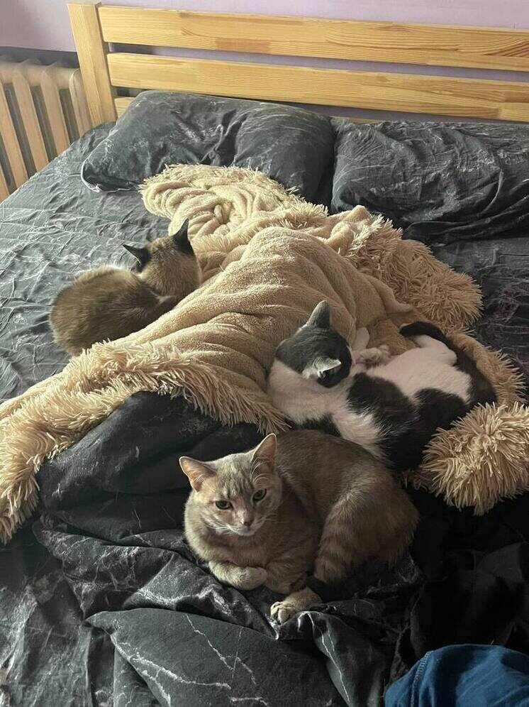   МК в Чите