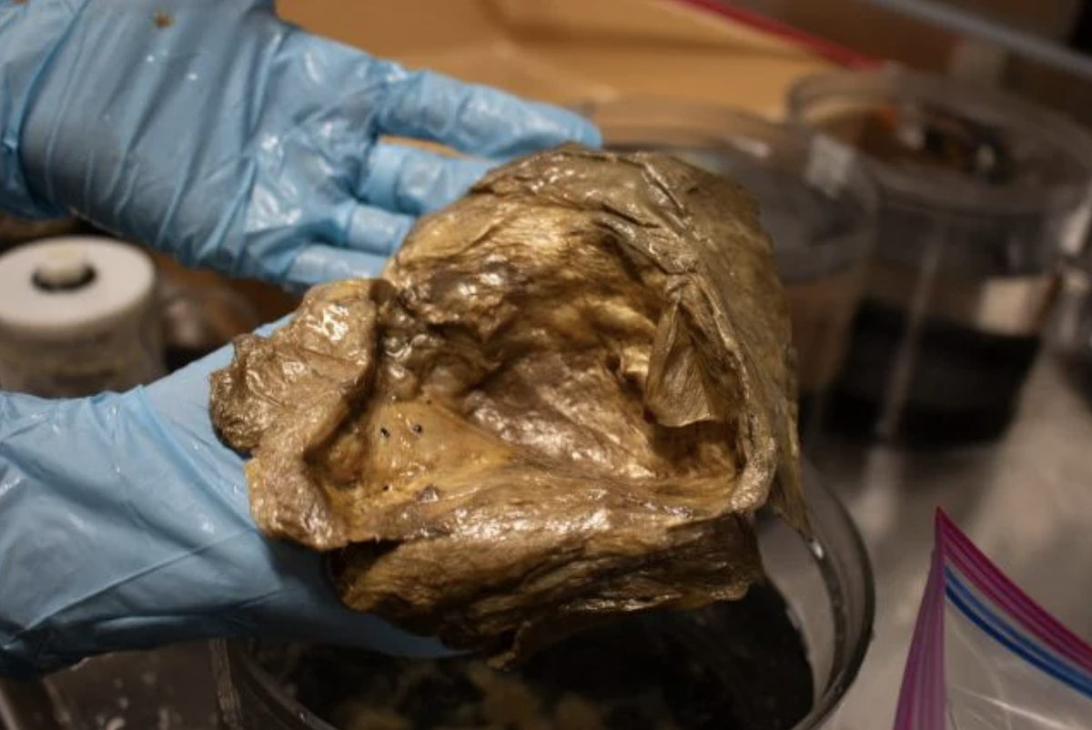    Золотой шар в руках ученого