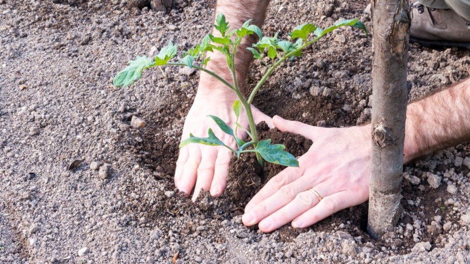 Разметка рейкой 45 см — быстро и без лишних замеров