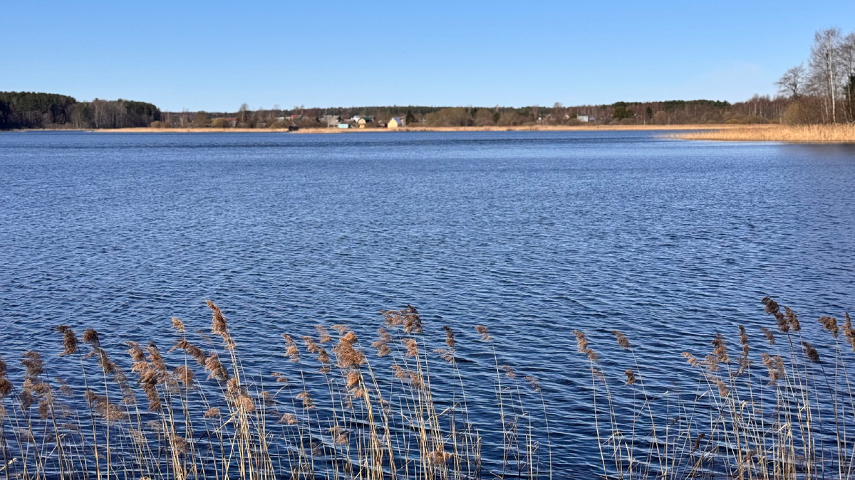 Селигерское заплавье 