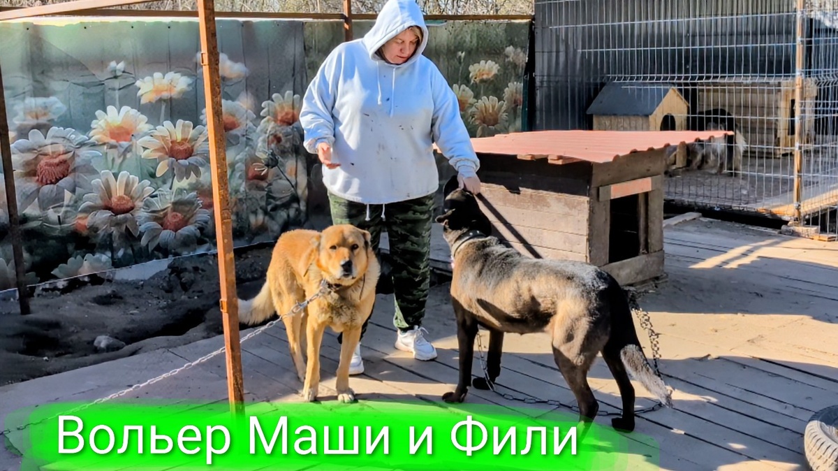 Мама Алла и Филя с Машей 