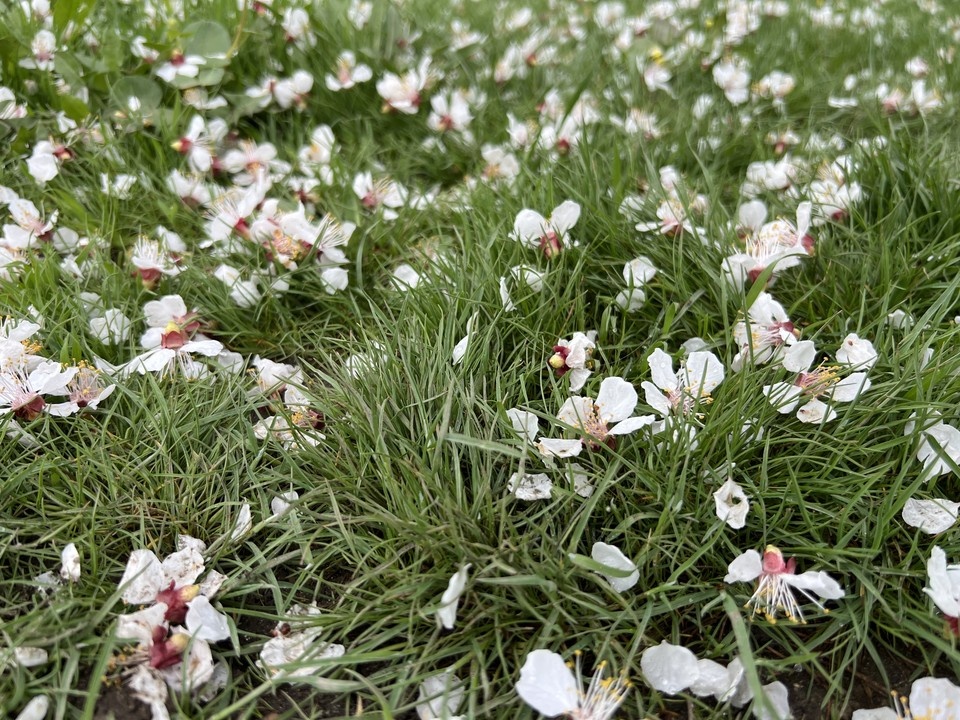    Жителей призывают соблюдать меры предосторожности Валерия РАЗИНА