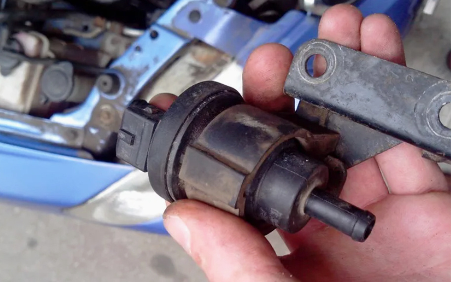 Фото: источник https://clck.su/RiVvq