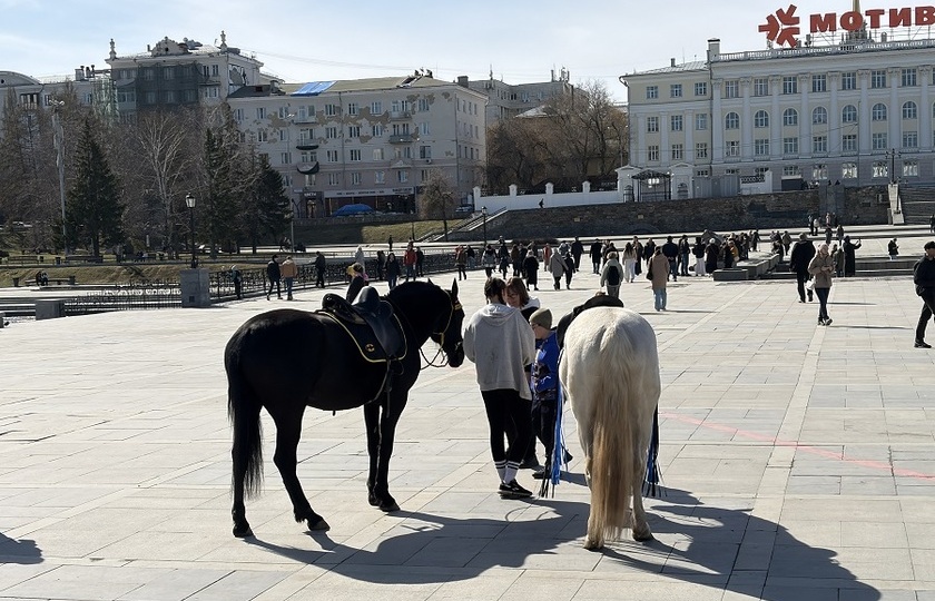 Куда сходить с детьми 25 - 26 апреля в Екатеринбурге