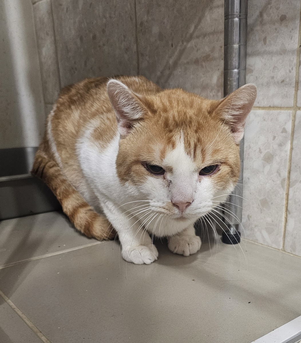 Фото автора. Сынок оооооочень хочет жить...