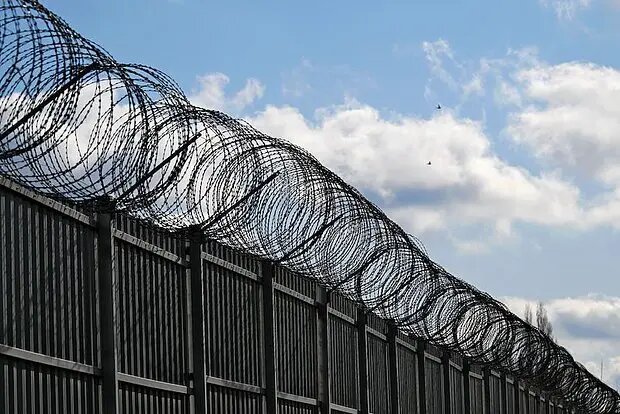    Источник: lenta.ru/ Анна Тихомирова