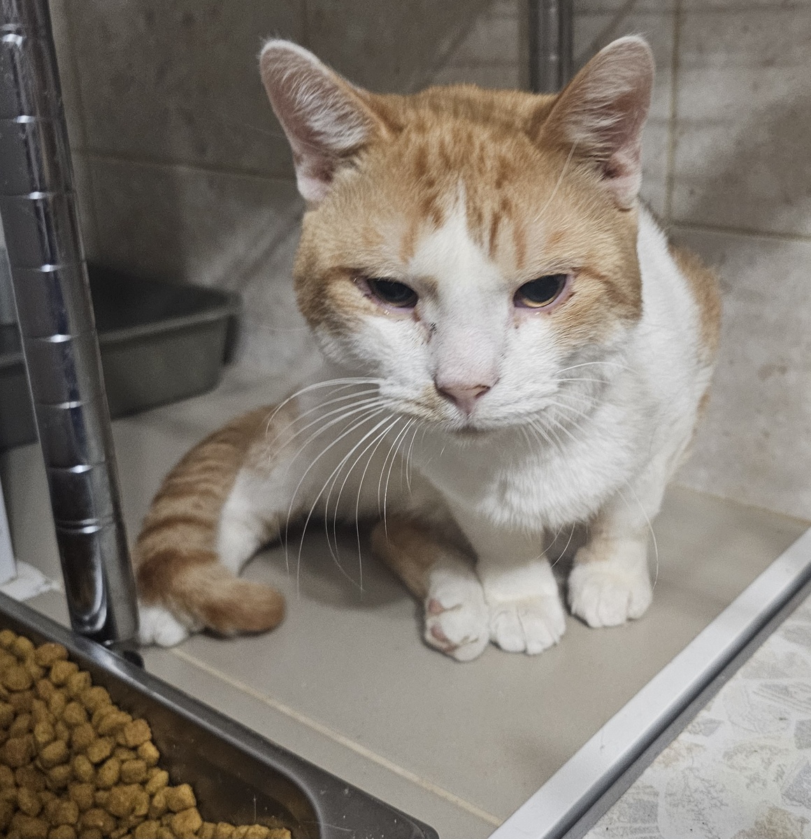 Фото автора. Сынок оооооочень хочет жить.