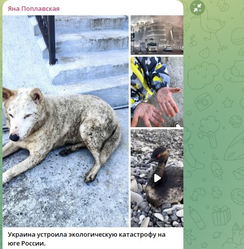    Фото: Скриншот Telegram/Яна Поплавская