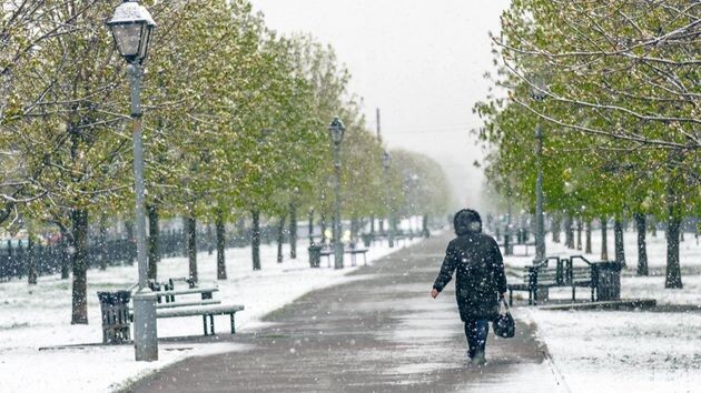 В этот раз холодное вторжение обойдётся без снежного покрова
