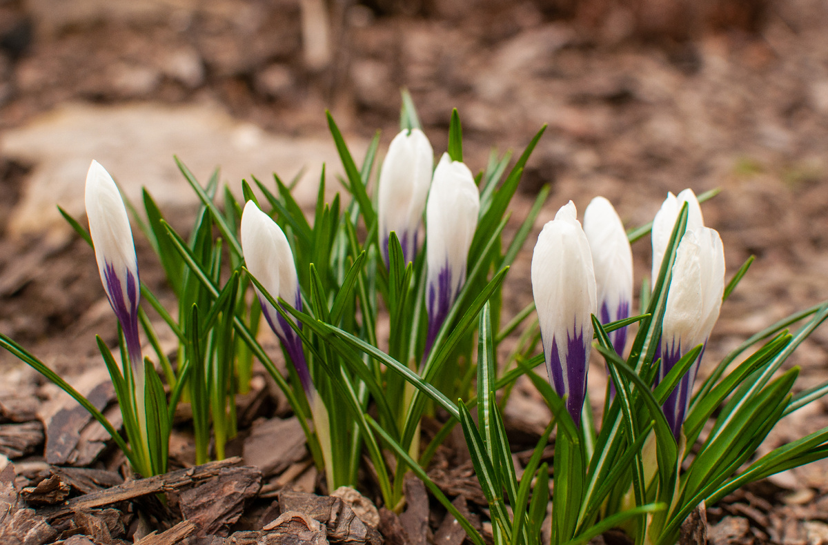 Личное фото