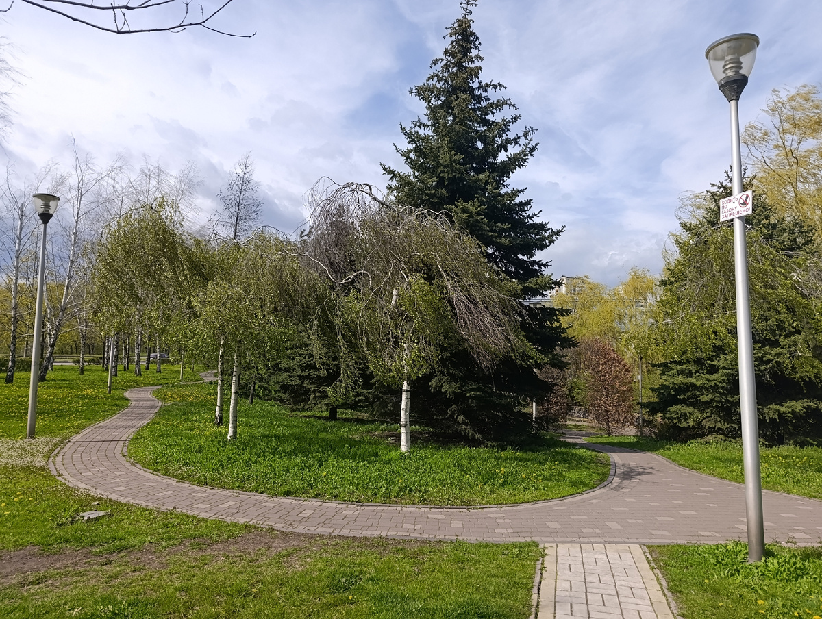 Весенний парк.