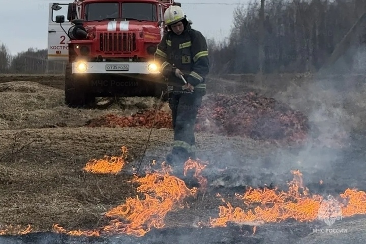 Костромская взаимопомощь — пал травы в Кряково вместе с пожарными тушили добровольцы