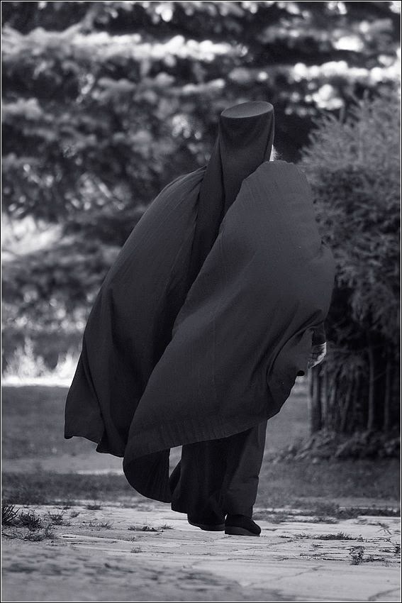 «Крылья», фотограф Сергей Дапкус.