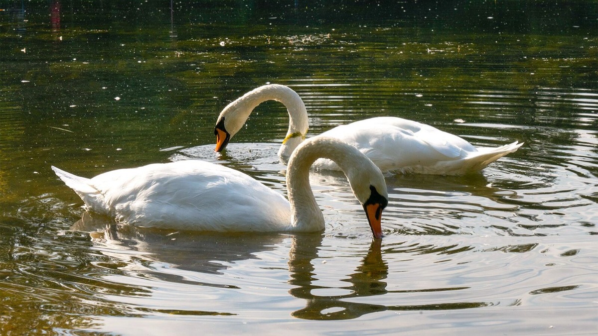    Источник: пресс-служба Департамента культуры города Москвы