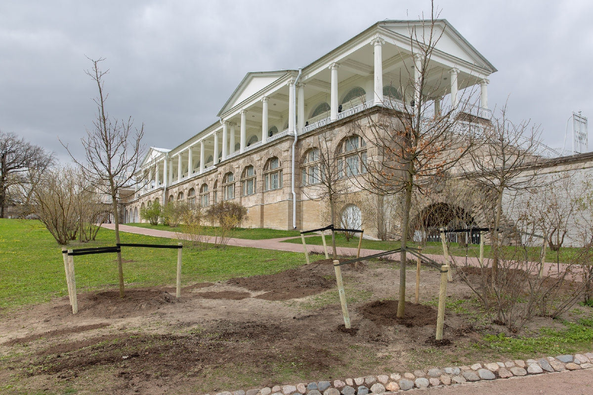 Фото: ГМЗ «Царское Село», Екатерина Новак