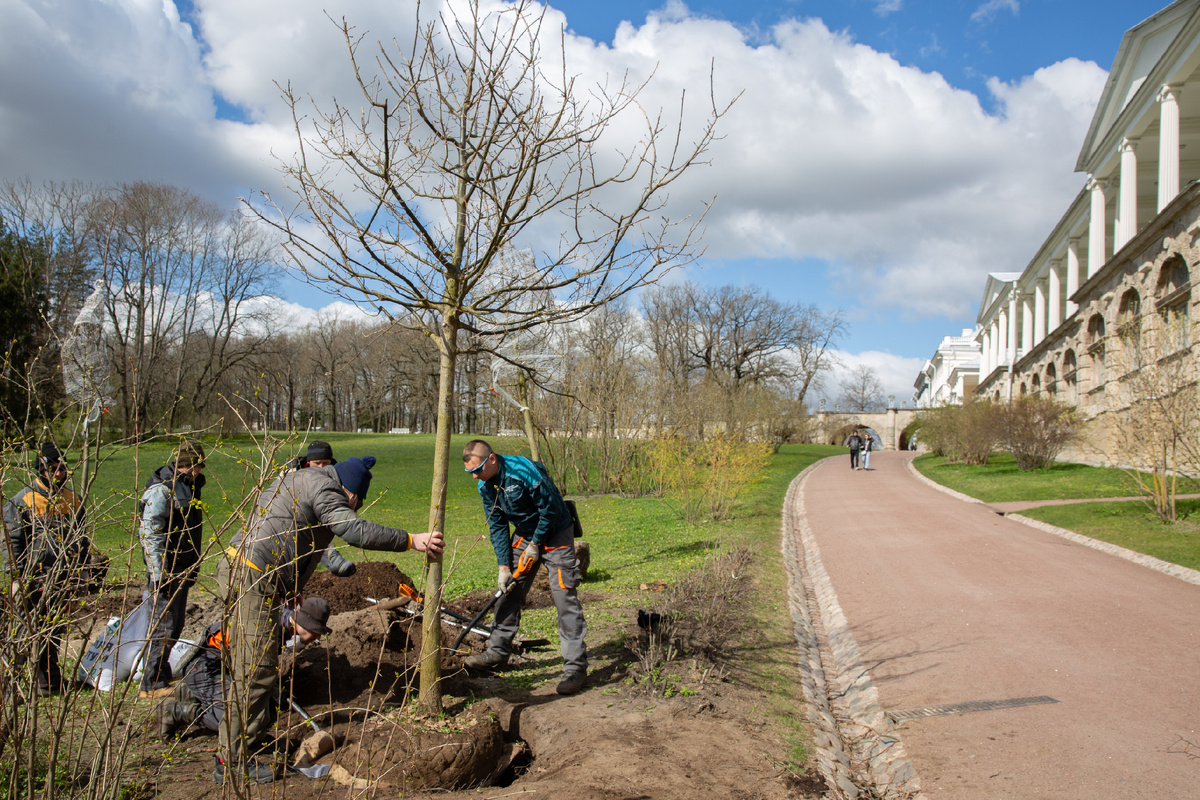Фото: ГМЗ «Царское Село», Екатерина Новак