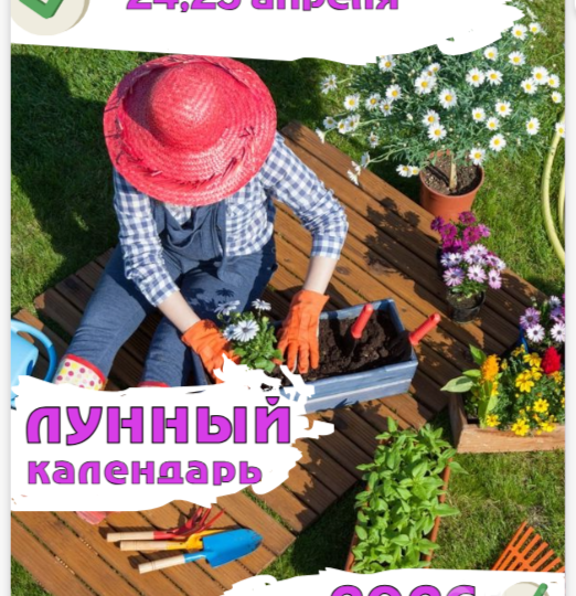 ЛУННЫЙ КАЛЕНДАРЬ САДОВОДА. 24, 25 АПРЕЛЯ 2026.