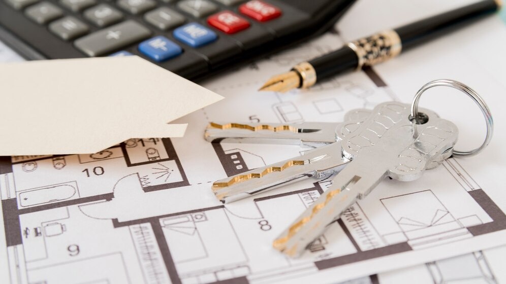    фото: freepik.com / freepik.com