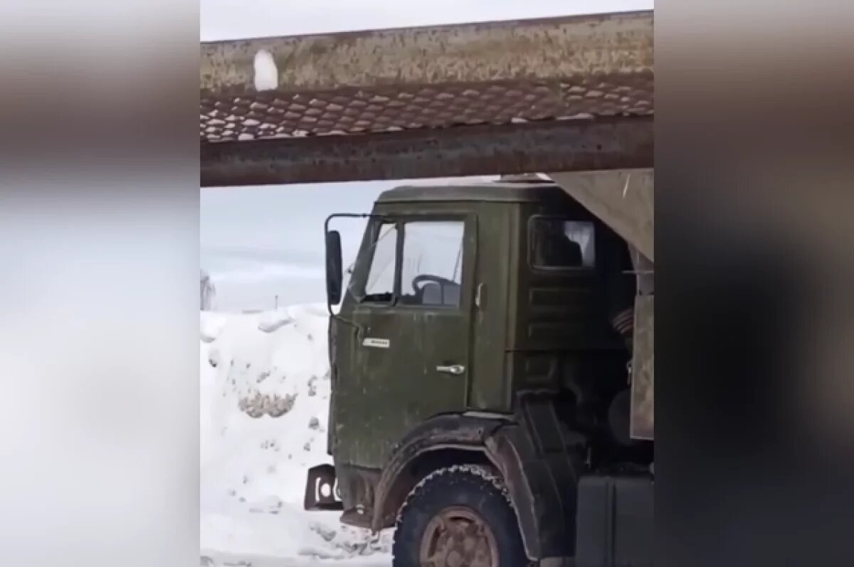    Волонтёры говорят о десятках убитых кошек, о давлении на свидетелей и о том, что дело пытаются «замять».