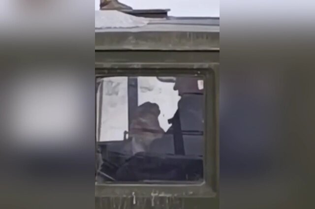    Живодер убил кошку в салоне грузовика. Фото: АиФ-Казань