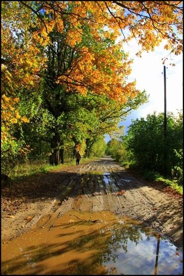 Фото cvintus http://moifoto.org