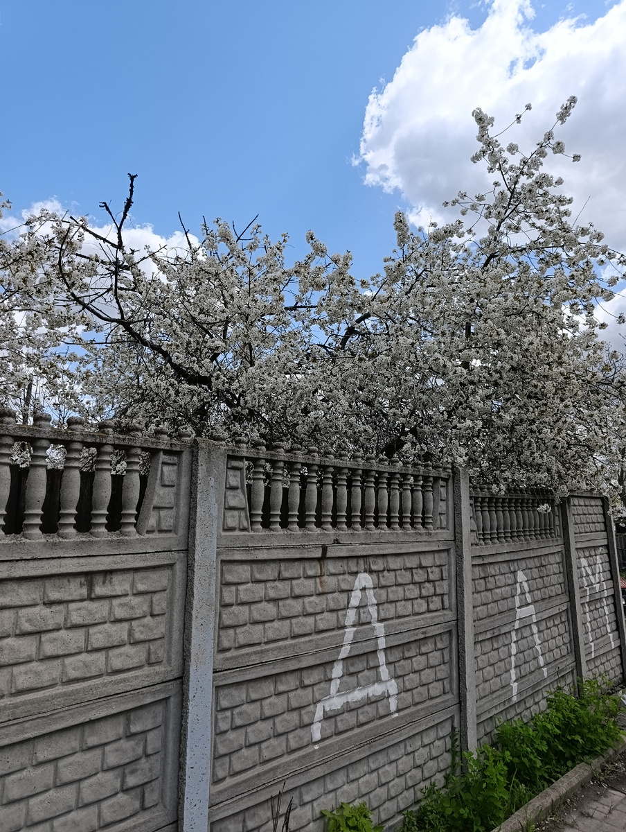 Весна на улице.