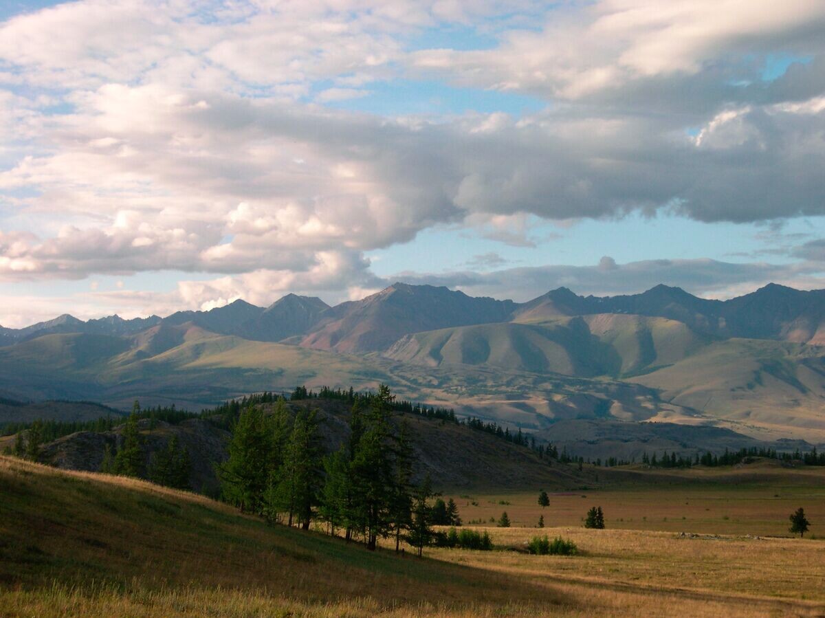    Летние виды Горного Алтая | © РИА Новости / Ольга Дерунова