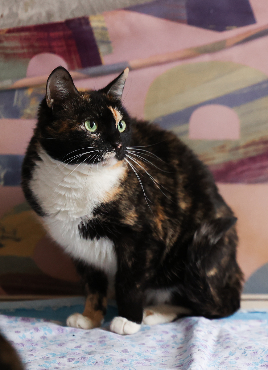 Чего переживали, я знала, что уеду домой