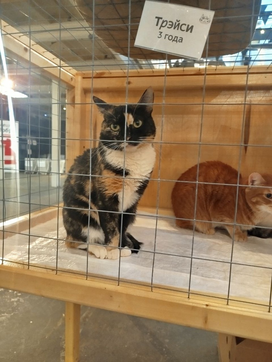 Что тут выбирать, я самая классная, поехали уже домой)